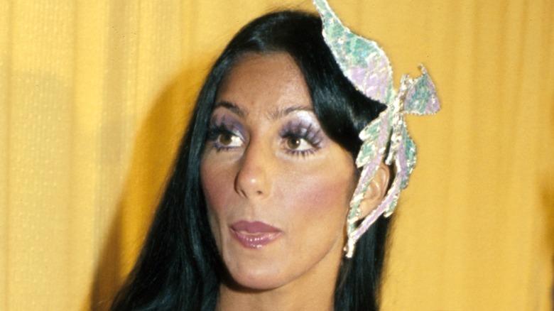 Cher at the 1974 Grammys wearing purple eyeshadow, dramatic blush, and glossy lipstick