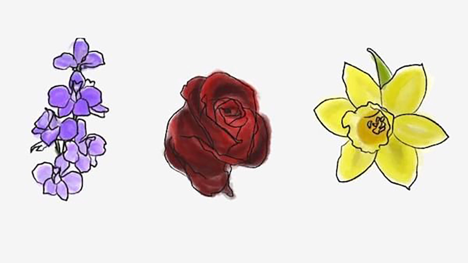 What Does Your Birth Flower Say About Your Personality?