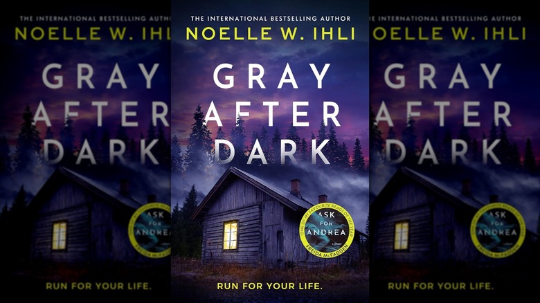 The front cover of Gray After Dark by Noelle W. Ihli