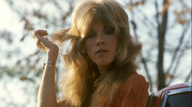 Stevie Nicks with a shag haircut