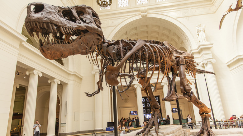 A model of a dinosaur with its mouth open