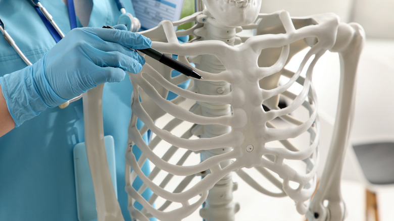 Person pointing to a skeleton model