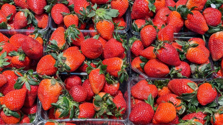 Multiple punnets of strawberries