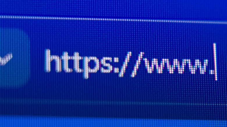 A web search box with www typed in