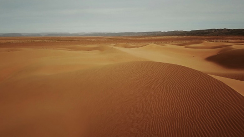 Sand in the Sahara Desert