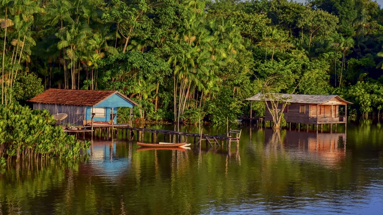 Houses alongside a Brazilian river
