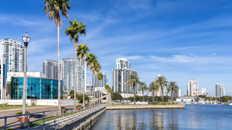 The buildings and ocean at Tampa Bay in Florida