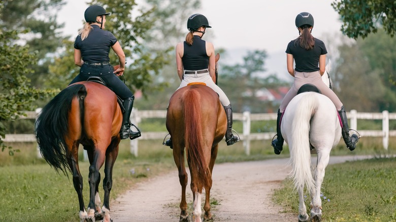 Three girlfriends riding horses
