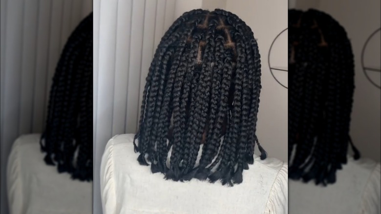 A person with mid-length braids
