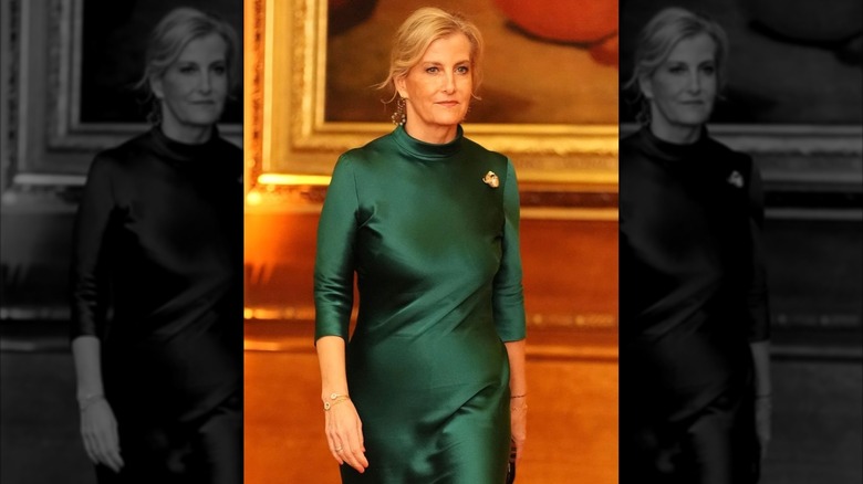 Sophie, Duchess of Edinburgh pictured at an event in January 2026