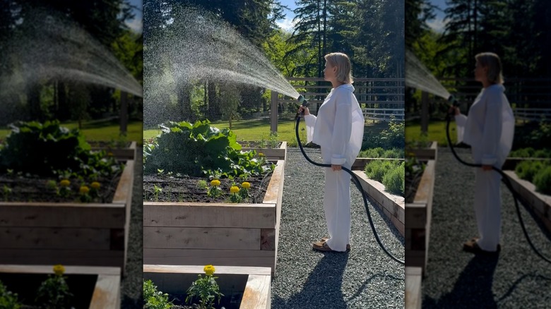 Pamela Anderson using a sprayer to water a raised plot of garden