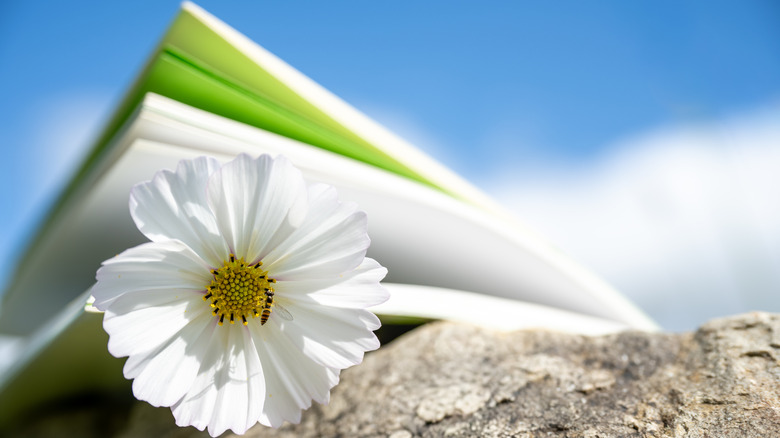 Book with flower and bee