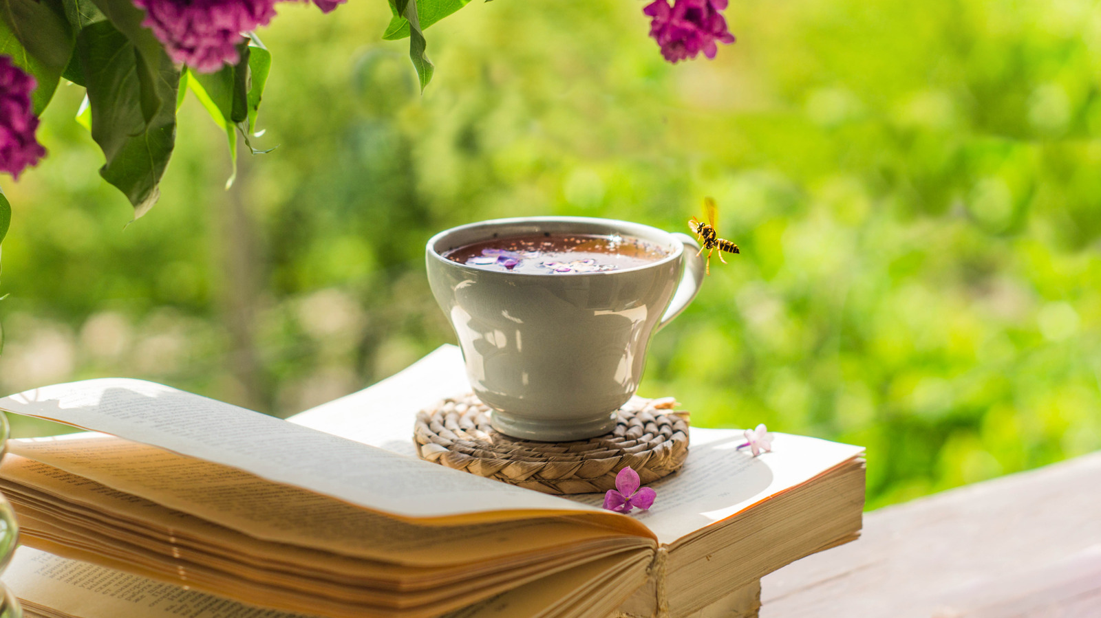 5 Of The Best Fiction Books About Bees That Had Goodreads Users Obsessed - Women