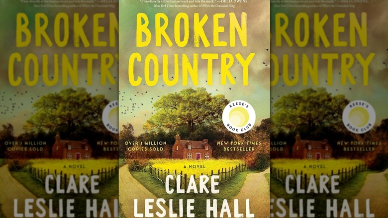 Broken Country book cover