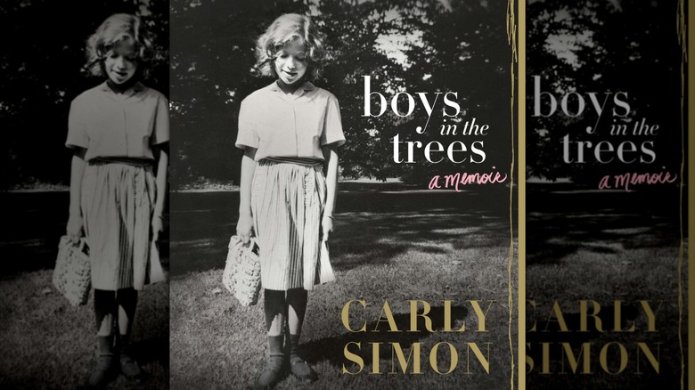 Boys in the Trees by Carly Simon