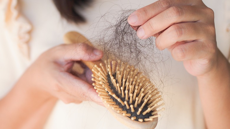 Close up of clean hair brush