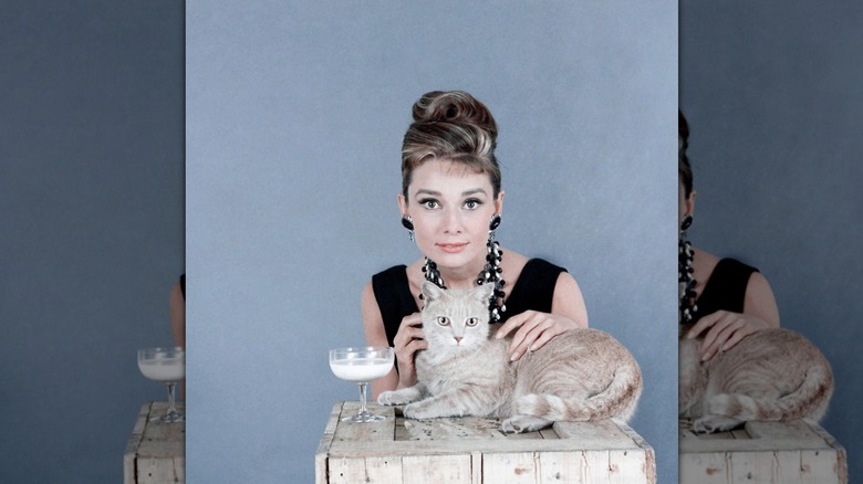 Audrey Hepburn poses behind a cat wearing a black dress and french twist