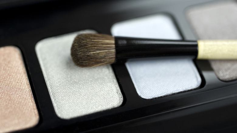 A brush resting on a palette with white shimmery eyeshadow