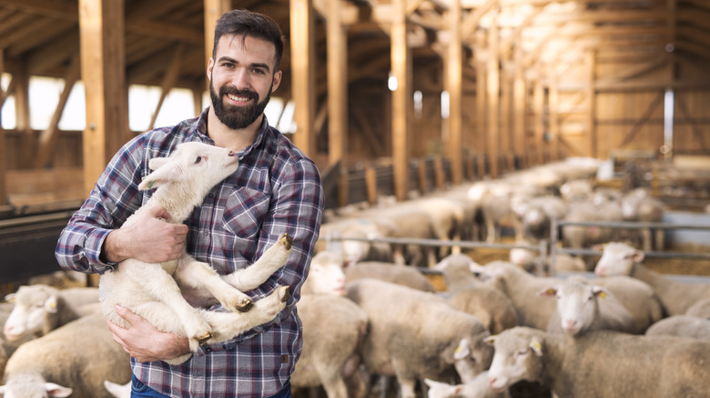 Farmer posing with sheep