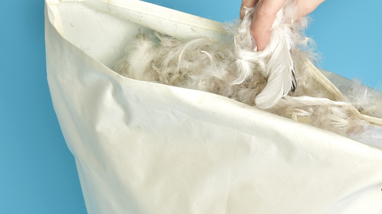 A bag of feathers