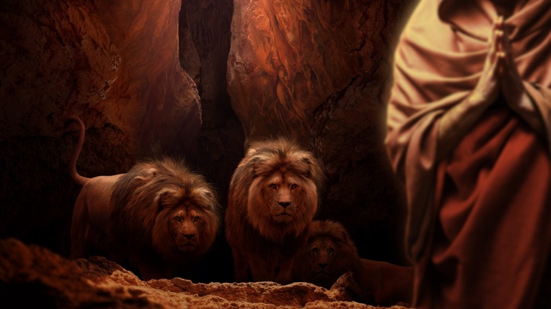 Lions in den