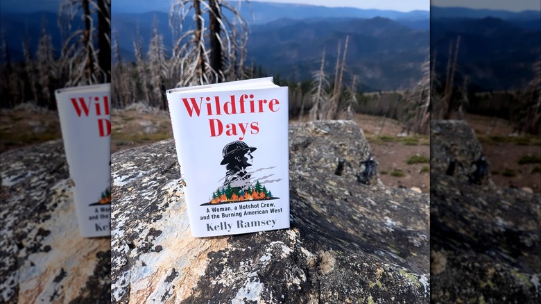 A copy of "Wildfire Days" propped on a rock in front of a post-wildfire landscape