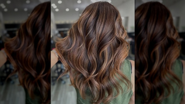 Shot of the back of a woman's head with medium brown hair with gold and copper highlights