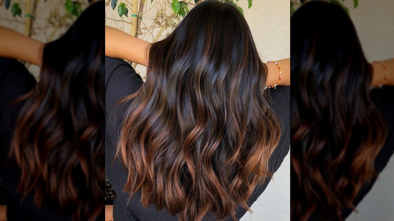 Camera looks at the back of a woman's hair that is dark brown with golden highlighted ends