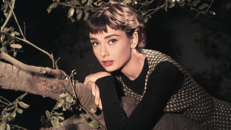 A studio portrait of Audrey Hepburn