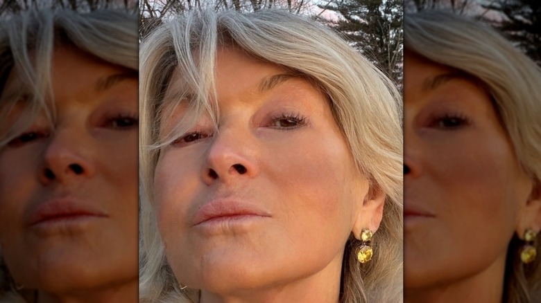 Martha Stewart pouting for a selfie