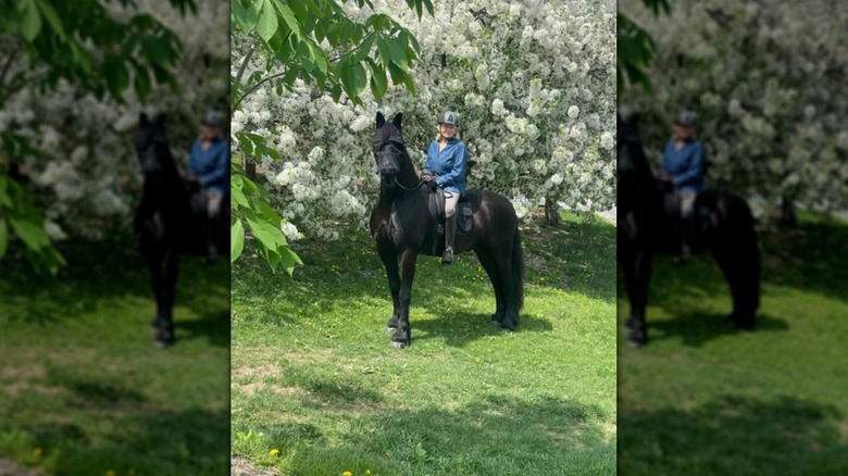 Martha Stewart riding a black horse near flowering trees