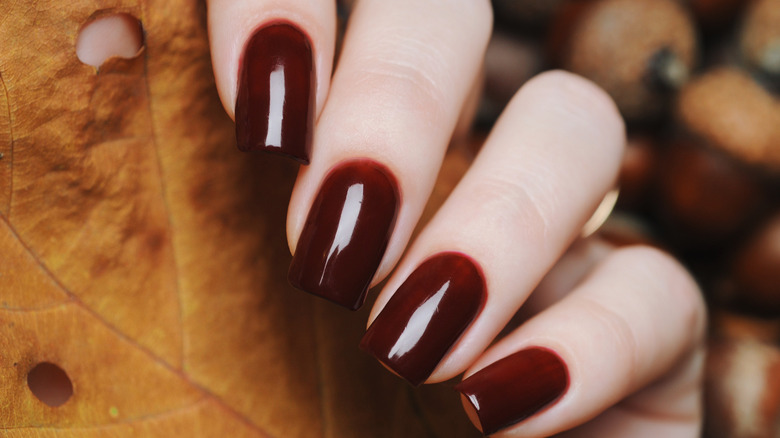 A woman holding an autumn leaf with long, burgundy nails