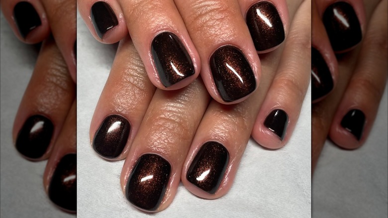 Shimmery chocolate brown nails