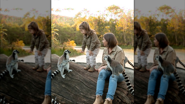 Bindi Iriwn and daughter Grace interacting with some ring-tailed lemurs