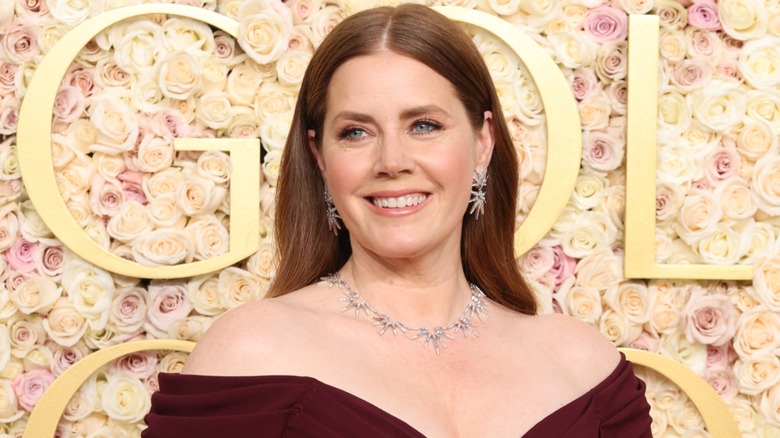 Amy Adams on the red carpet