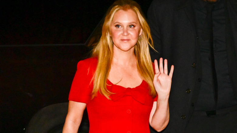 Amy Schumer