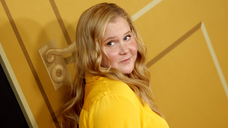 Amy Schumer posing