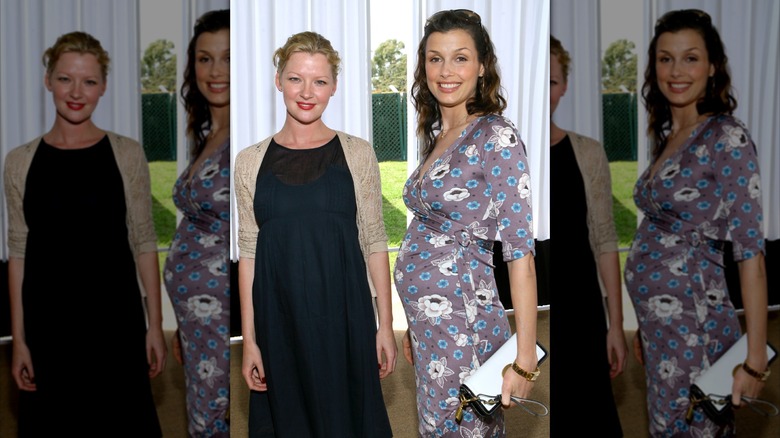 Bridget Moynahan with another woman at an event in a grey dress while pregnant