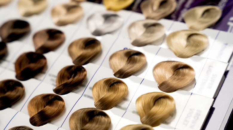 Close-up of loops of hair color samples