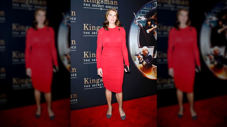 Brooke Shields February 2015 at a movie premiere