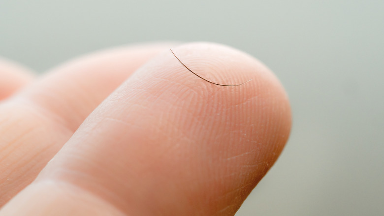 Person holding an eyelash