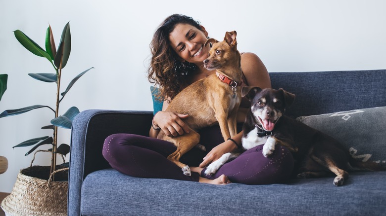 Woman two dogs