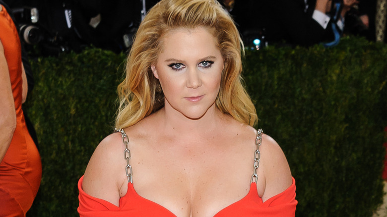Amy Schumer Manus x Machina Fashion Metropolitan Museum of Art