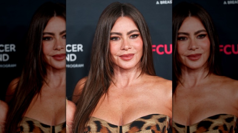 Close-up Sofía Vergara wearing her brown hair straightened with face-framing layers at a red carpet event