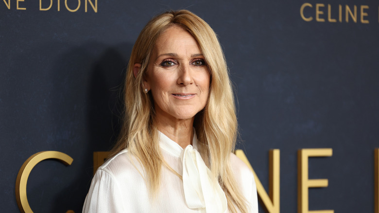 Celine Dion smiles on the red carpet in 2024