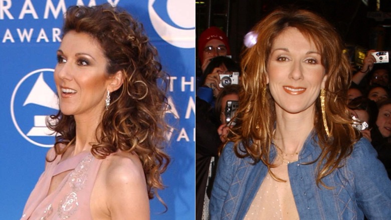 Celine Dion in 2002