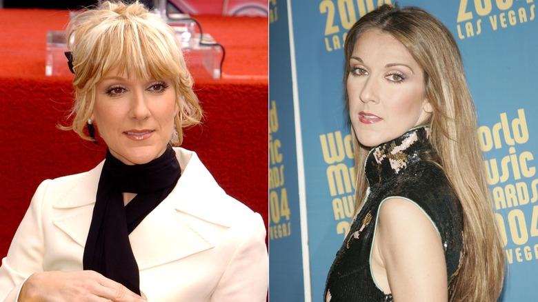 Celine Dion in 2004