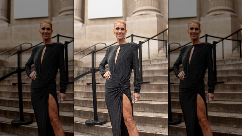 Celine Dion pictured smiling in 2019