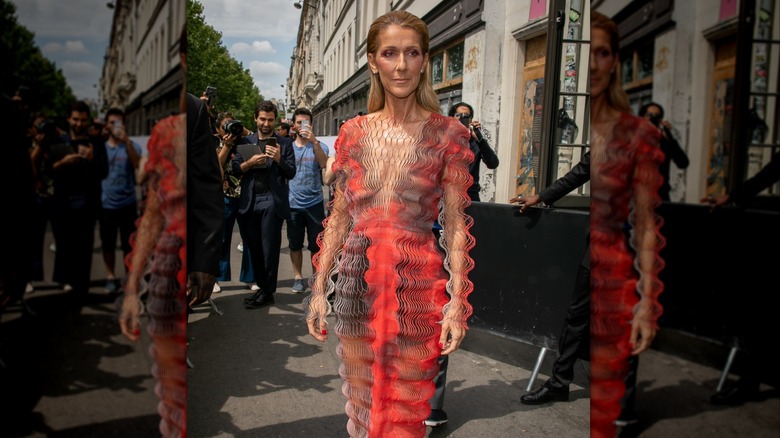 Celine Dion in Paris in 2019
