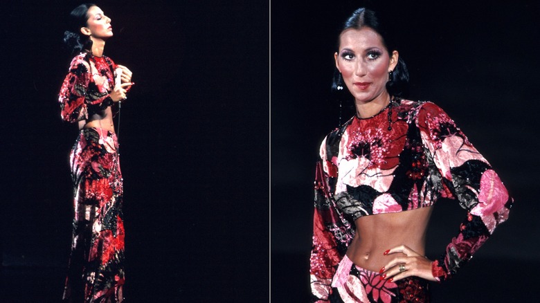 Split image of Cher wearing a two-piece, red and pink outfit while performing
